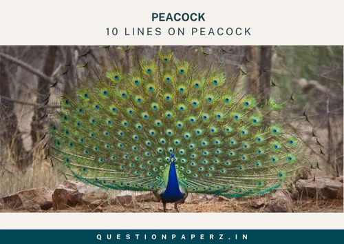 10 Lines on Peacock